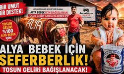 Alya Bebek İçin Seferberlik: Tosun Geliri Bağışlanacak