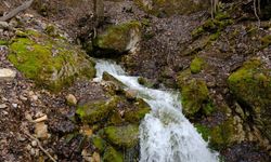 Dağın Ortasından Fışkırıyor: Kaynağı Bulunamıyor