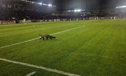 Bozokspor Maçına Sansar Damga Vurdu! Maç Durduruldu