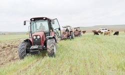 Çiftçilere Dev Destek Ödemesi: TC Son Hanesi 6 ve 8 Olan Üreticiler Dikkat!