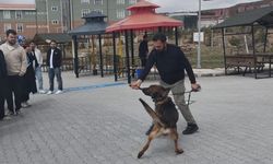 Yozgat’ta Uyuşturucuyla Mücadelede Sahadan Çarpıcı Gösteri