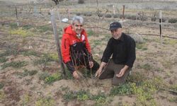 Dikkat Çeken Tarım Çalışması: Yozgat’ta Aronya Üretimi İçin Kritik Eğitim