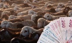 Kurban Bayramı emekli ikramiyesi ne zaman yatacak? 2026 SGK, SSK, Bağ-Kur 4 bin TL bayram ikramiyesi ödeme tarihleri