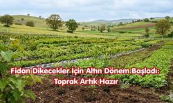 Fidan Dikecekler İçin Altın Dönem Başladı: Toprak Artık Hazır