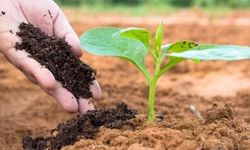 Çiftçiler Rahat Nefes Alıyor! Gübrede Gümrük Vergisi Sıfırlandı