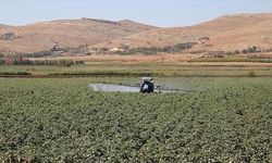 Gübrede yeni dönem: Ürünlerde gümrük vergisi kaldırıldı