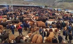 İç Anadolu’nun Kalbi Burada Atıyor: Kadışehri Hayvan Pazarı Gündemde