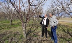 Yozgat İl Tarım Müdürlüğü Bahçelerde Önlemleri Artırdı