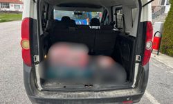 Yozgat'ta Jandarmaya Yakalandı: İzinsiz Satışa Geçit Yok!