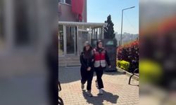 İstanbul'da Köpeği Camdan Sarkıtan Kadın Gözaltına Alındı