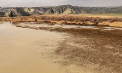 Türkiye’nin Geleceği Kurak: 2050’den Sonra Bozkır İklimi Hakim Olacak