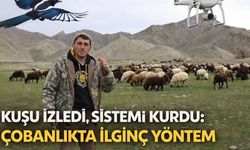 Kuşu İzledi, Sistemi Kurdu: Çobanlıkta İlginç Yöntem