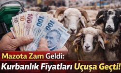 Mazota Zam Geldi: Kurbanlık Fiyatları Uçuşa Geçti!