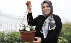 Ev hanımından üretim gücüne: Sera kurdu, siparişlere yetişemiyor