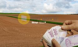 Yozgat'ta Dev Tarla Satışı Başladı: 4 Parsel Açık Artırmada