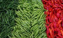 Tarlada 7, Markette 200 Lira: El Yakıyor!