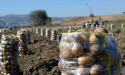 Üreticiden 5 TL’ye çıkıyor, markette 30 TL oluyor