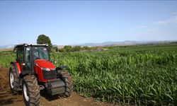 TAKE Projesi ile dönüşüm: Yozgat’ta binlerce dekar alan ayçiçeği olacak