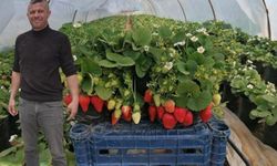 Türkiye'nin Yerli Fideleri Yozgat'tan!