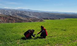 Yerköy’de Tarım Arazileri Mercek Altında