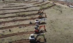 Yozgat-Ankara Karayolu Güzergahında Dev Ağaçlandırma Seferberliği