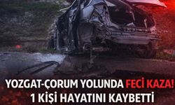 Yozgat Çorum Karayolunda Feci Kaza: 1 Kişi Öldü