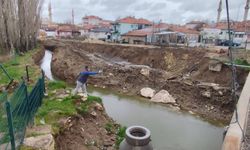 Yozgat İlçelerinde Larvalarla Mücadele Başladı