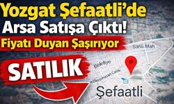 Yozgat Şefaatli’de Arsa Satışa Çıktı! Fiyatı Duyan Şaşırıyor