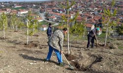Yozgat'ın Çevreci Belediyesi Örnek Oluyor