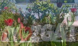 Yozgat’ta Bahar Etkisi: Şehre Canlılık Geldi