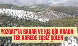 Yozgat’ta Bahar ve Kış Bir Arada: Tek Karede Eşsiz Şölen