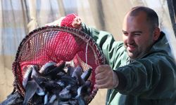 Yozgat’ta Baraj Doluluk Oranı Arttı: Balıkçıların Yüzü Güldü