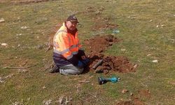 Yozgat’ta Doğaya Katkı: Kuşburnu Fideleri Dikilmeye Başlandı