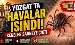 Yozgat'ta Havalar Isındı: Keneler Sahneye Çıktı