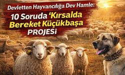 Yozgat'ta Hayvancılara Dev Destek: Başvurular Başladı!