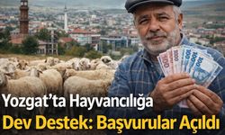 Yozgat’ta Hayvancılığa Dev Destek: Başvurular Açıldı