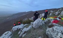 Yozgat’ta Kaybolan Hayvanlar İçin Ekipler Seferber Oldu