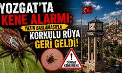 Yozgat’ta Kene Alarmı: Korkulu Rüya Geri Geldi