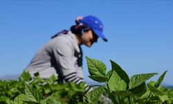 Yozgat’ta Projeler İçin Başvurular Açıldı: %70’e Varan Hibe Müjdesi