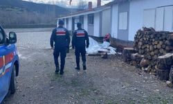 Yozgat’ta Sessiz Uygulama: Okul Çevresinde Güvenlik Alarmı