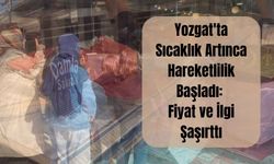 Yozgat'ta Sıcaklık Artınca Hareketlilik Başladı: Fiyat ve İlgi Şaşırttı