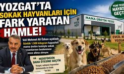 Yozgat’ta Sokak Hayvanları İçin Fark Yaratan Hamle