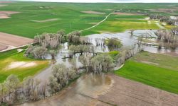 Yozgat'ta Tarım Arazileri Göle Döndü: Havdan Görüntüler Herkesi Şaşırttı