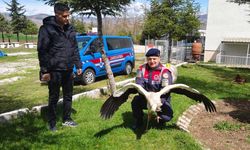 Yozgat’ta Kritik Müdahale: Hasta Leylek İçin Hızlı Seferberlik