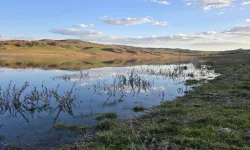 Yozgat’ta Şaşırtan Tablo: Yağışlar Rekor Seviyeye Ulaştı