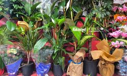 Yozgat’ta Yaz Bitkilerini Canlı Tutmanın Sırları Açıklandı