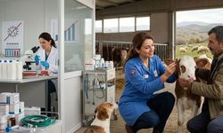 Yozgat’tan Dikkat Çeken Açıklama: Veteriner Hekimler İçin Özel Mesaj