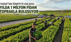 Yozgat’tan Türkiye’ye Can Suyu: Yılda 1 Milyon Fidan Toprakla Buluşuyor