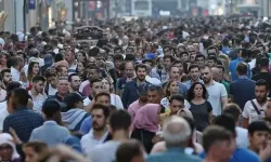 Hantavirüs paniği İstanbul'a sıçradı! Uzman isimden kritik uyarı
