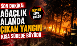 Son dakika: Ağaçlık alanda çıkan yangın kısa sürede büyüdü